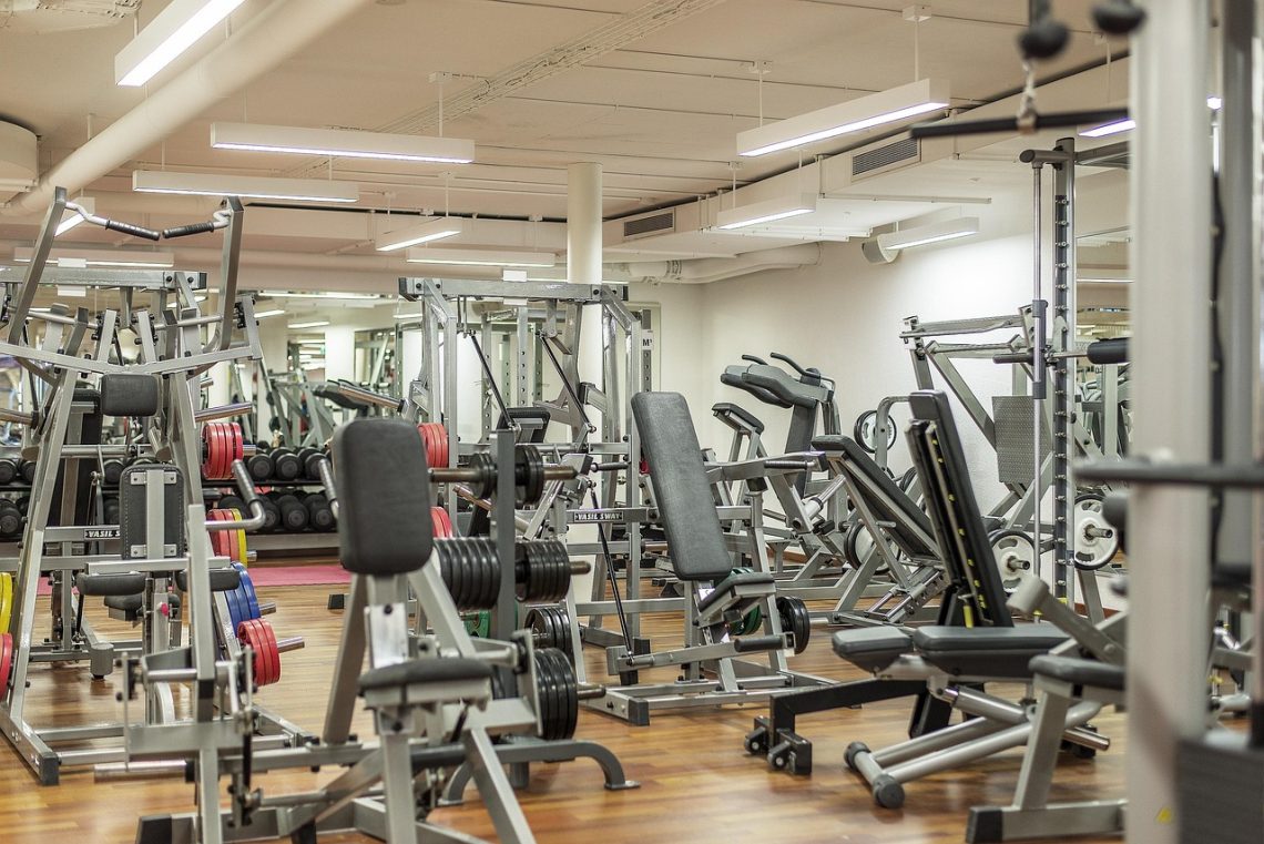 gym, work out, fitness device, training, gym, gym, gym, gym, gym